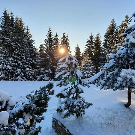 Horska Bouda U Kokrhace Guest house Dolni Mala Upa